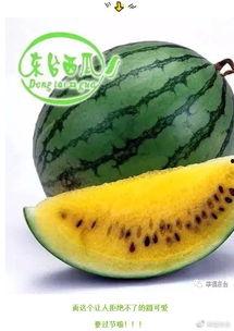 吃瓜二十集,揭秘娱乐圈背后的秘密与真相  第3张